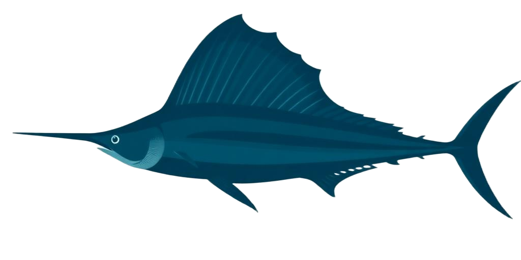 Pacific Sailfish