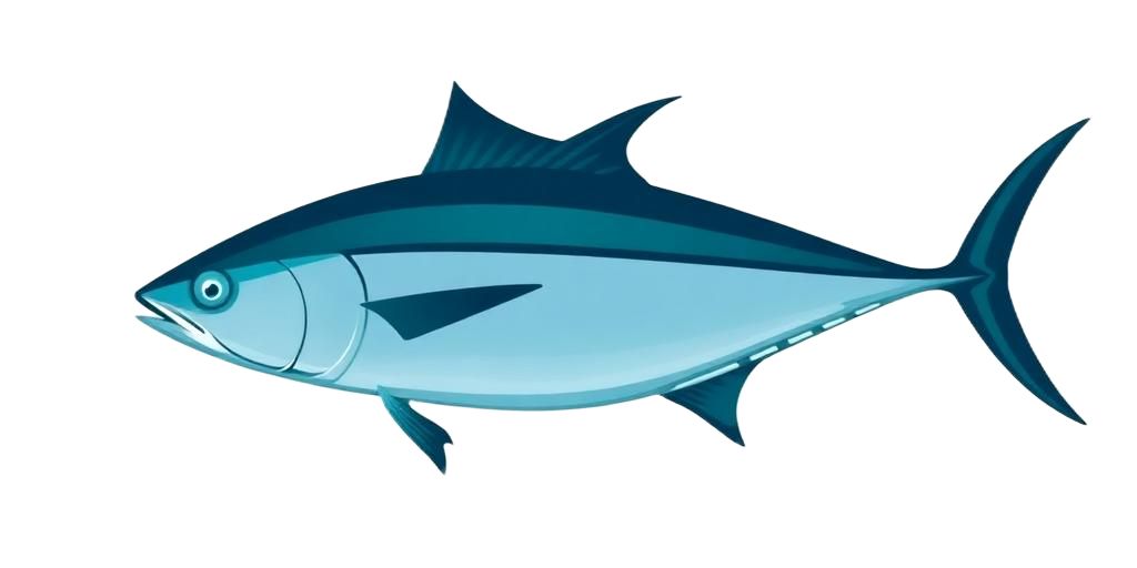 Skipjack Tuna