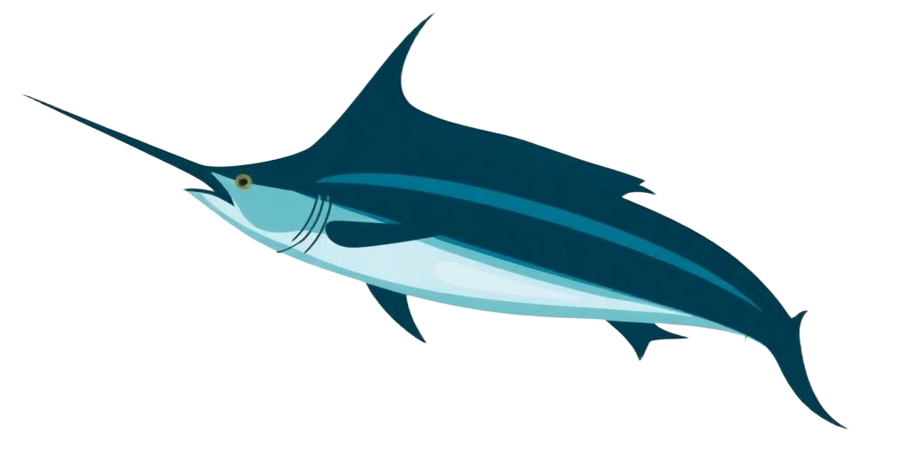 Black Marlin